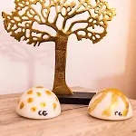 Casa Shanti アパート プエルト・カレロ